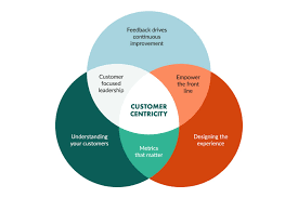 The Importance of Customer Centricity in Startups