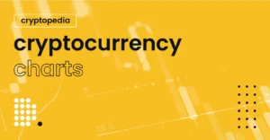 The Rise of Cryptocurrencies A Beginner's Guide