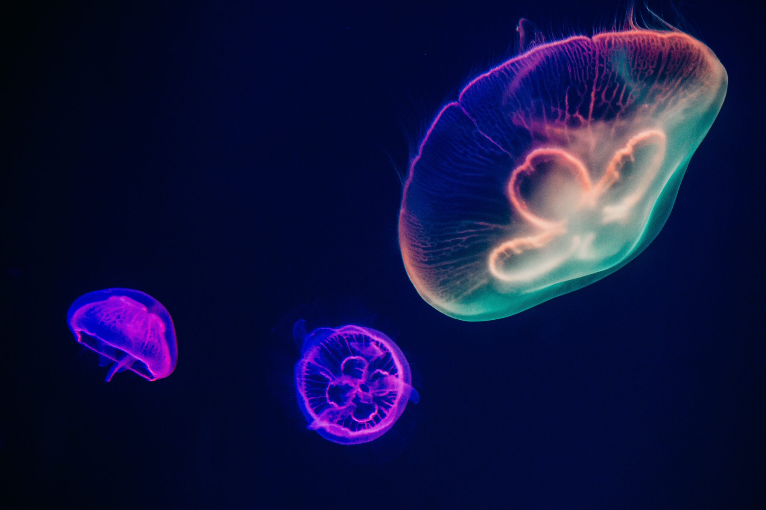 TechBytesNews Insights Deep Learning and Neural Networks Demystified
